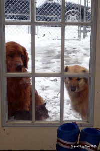 We Want In!