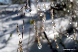 Dripping ice