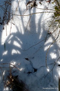 P1000714 Shadowy Monster Monster!